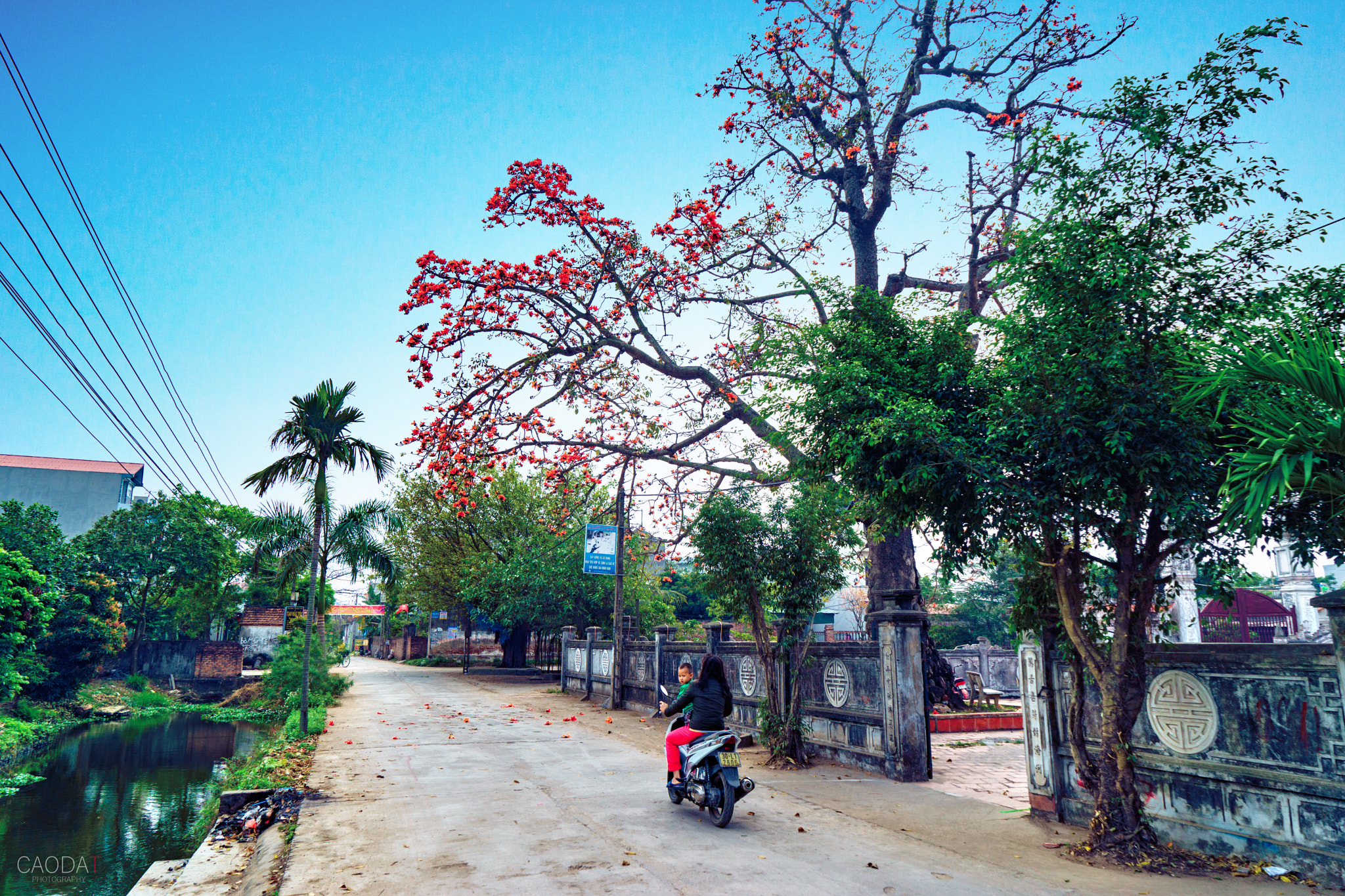 Sony a7 + Sony Vario Tessar T* FE 24-70mm F4 ZA OSS sample photo. Hoa gao photography