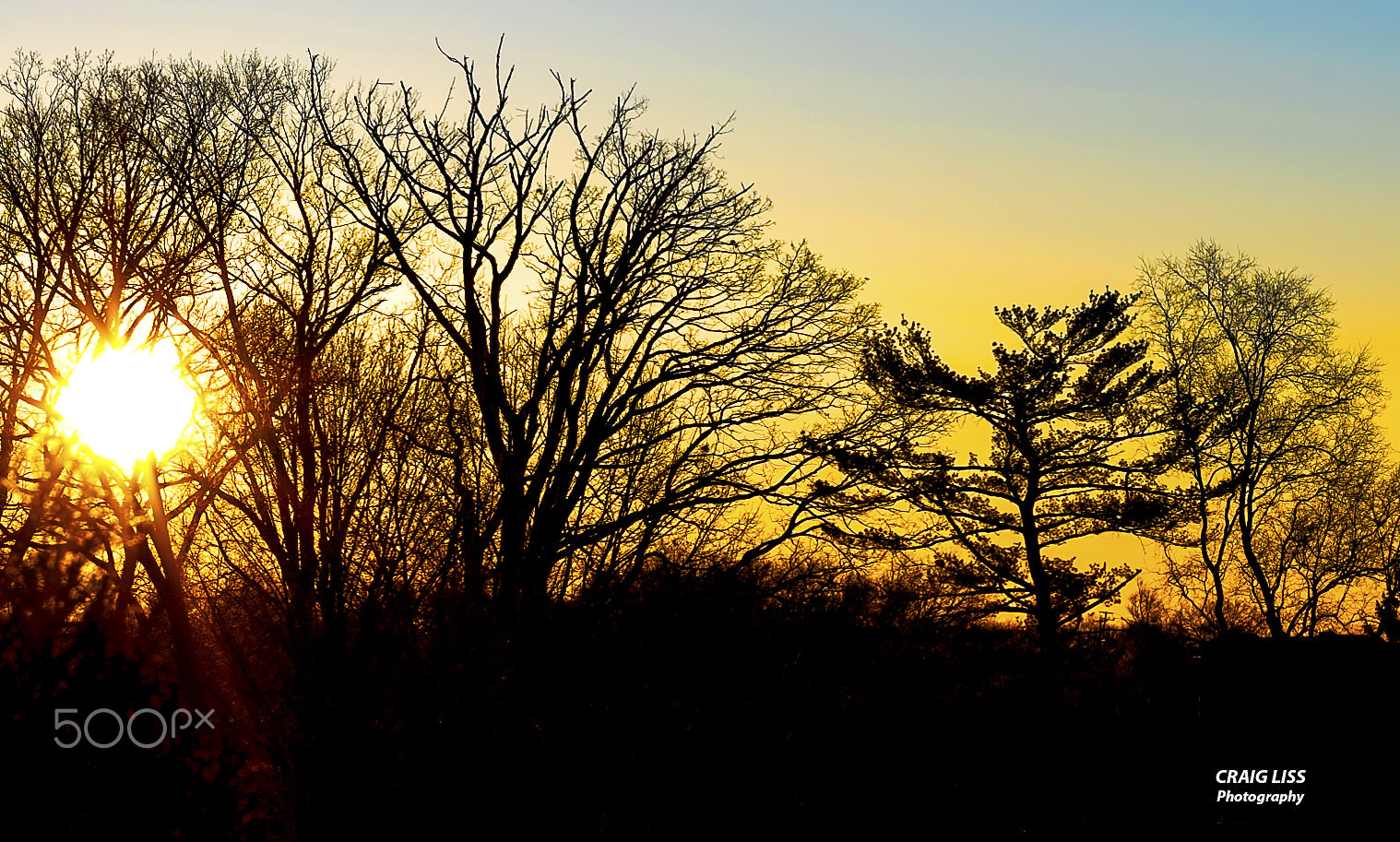 Nikon D810 + ZEISS Milvus 50mm F1.4 sample photo. Sun breaking through the trees photography