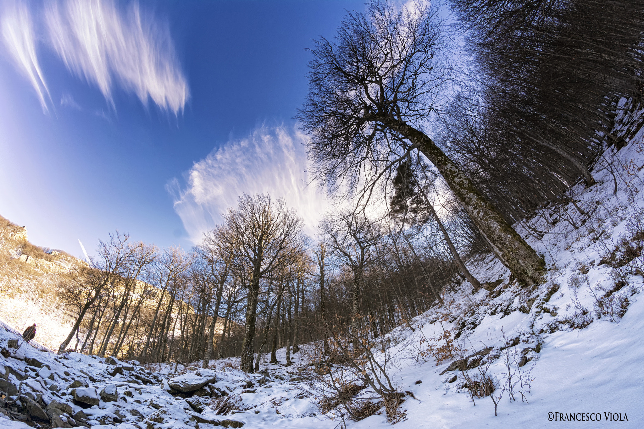 Samyang 8mm F3.5 Aspherical IF MC Fisheye sample photo. *** photography