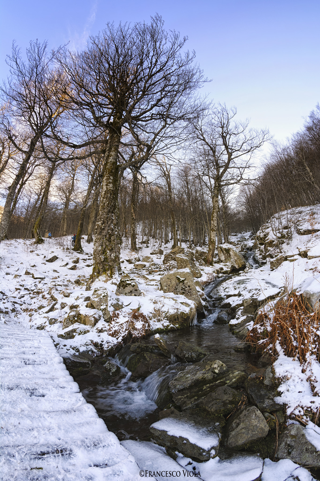 Samyang 8mm F3.5 Aspherical IF MC Fisheye sample photo. The thaw photography