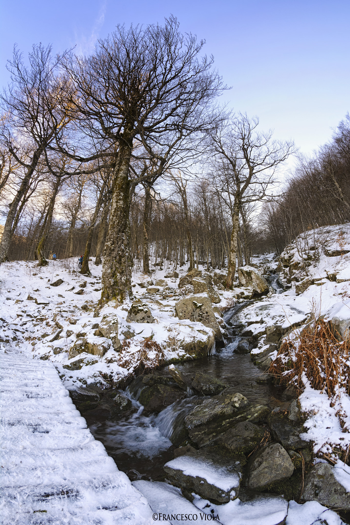 Nikon D7100 + Samyang 8mm F3.5 Aspherical IF MC Fisheye sample photo. The thaw photography