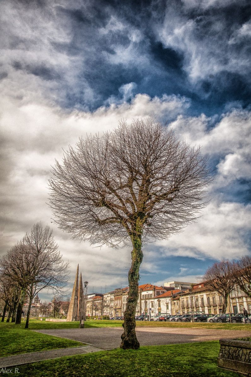Nikon D300 sample photo. Winter in the city photography
