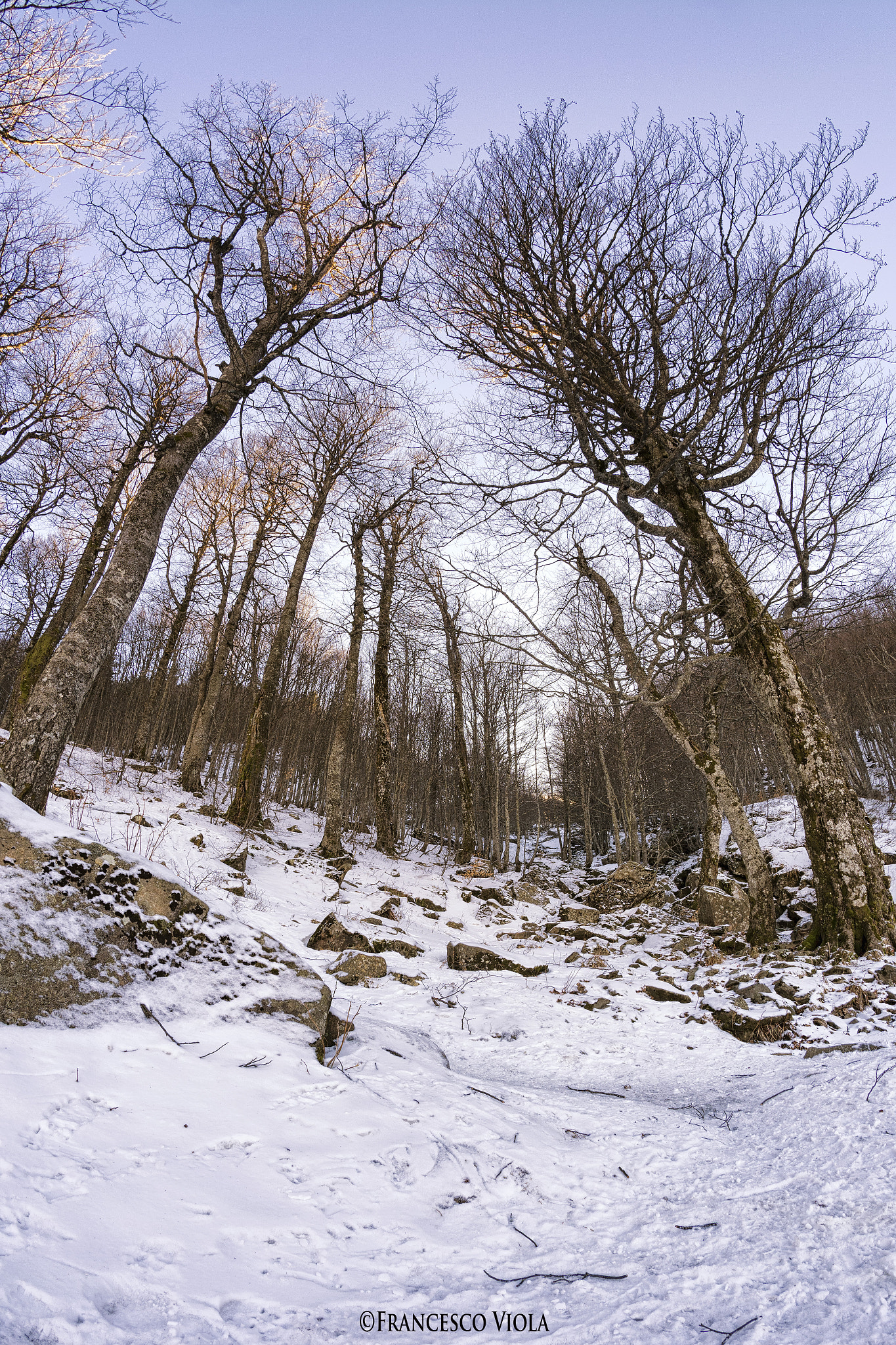 Nikon D7100 + Samyang 8mm F3.5 Aspherical IF MC Fisheye sample photo. Winter views photography