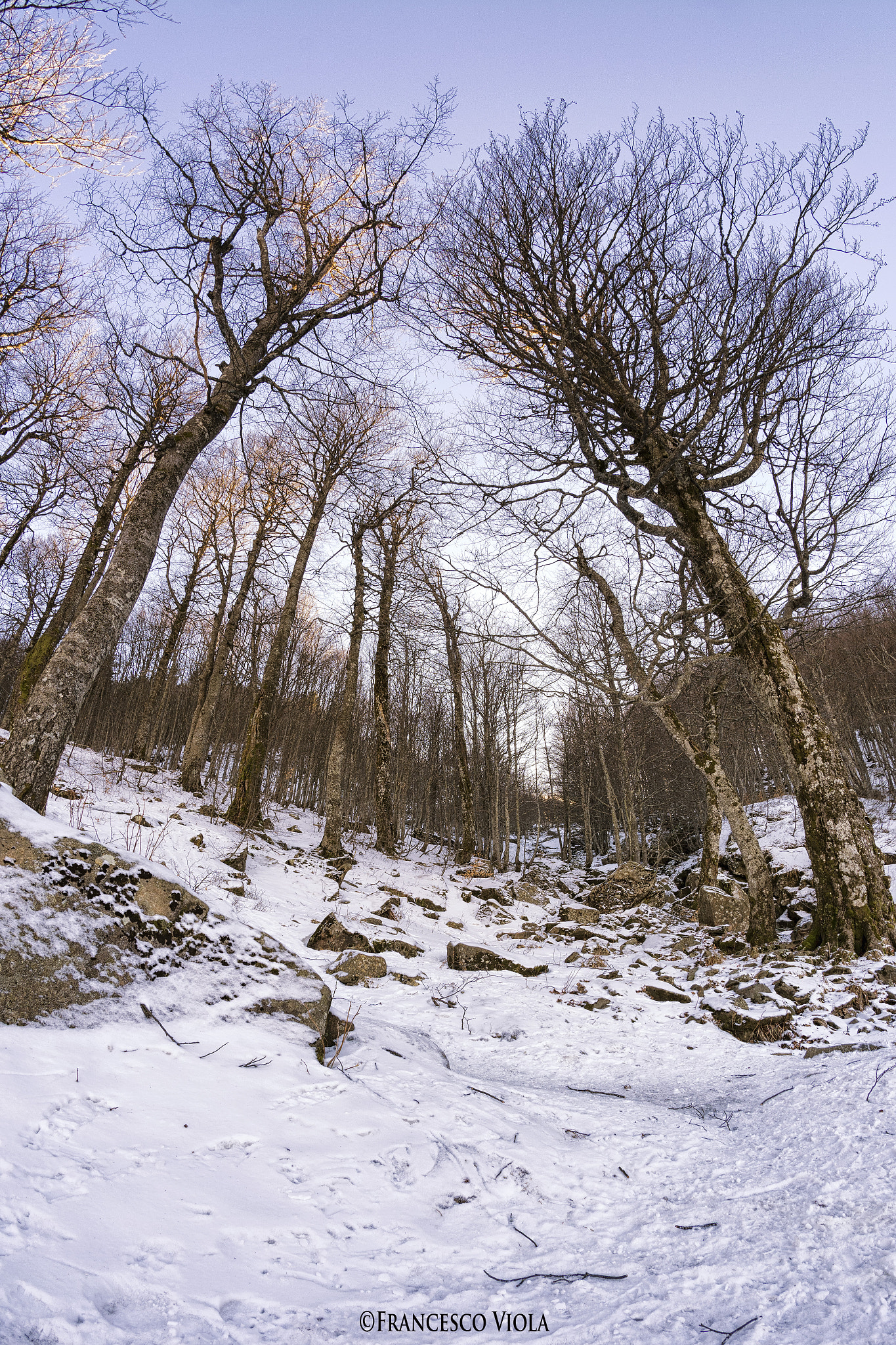 Samyang 8mm F3.5 Aspherical IF MC Fisheye sample photo. Winter views photography