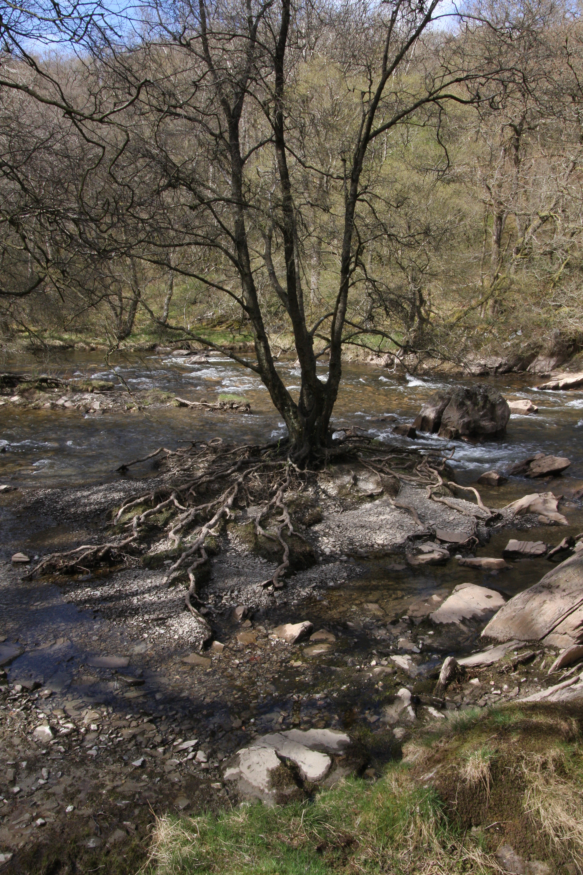 Canon EOS 40D sample photo. Elan valley photography