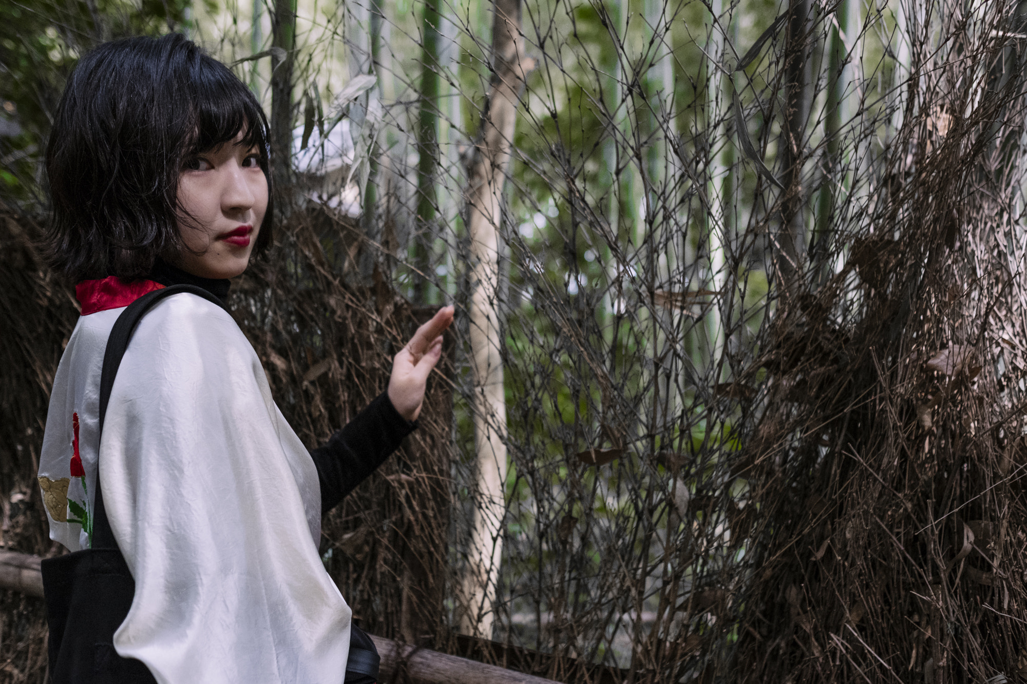 Fujifilm X-T2 + Fujifilm XF 23mm F1.4 R sample photo. Bamboo garden photography
