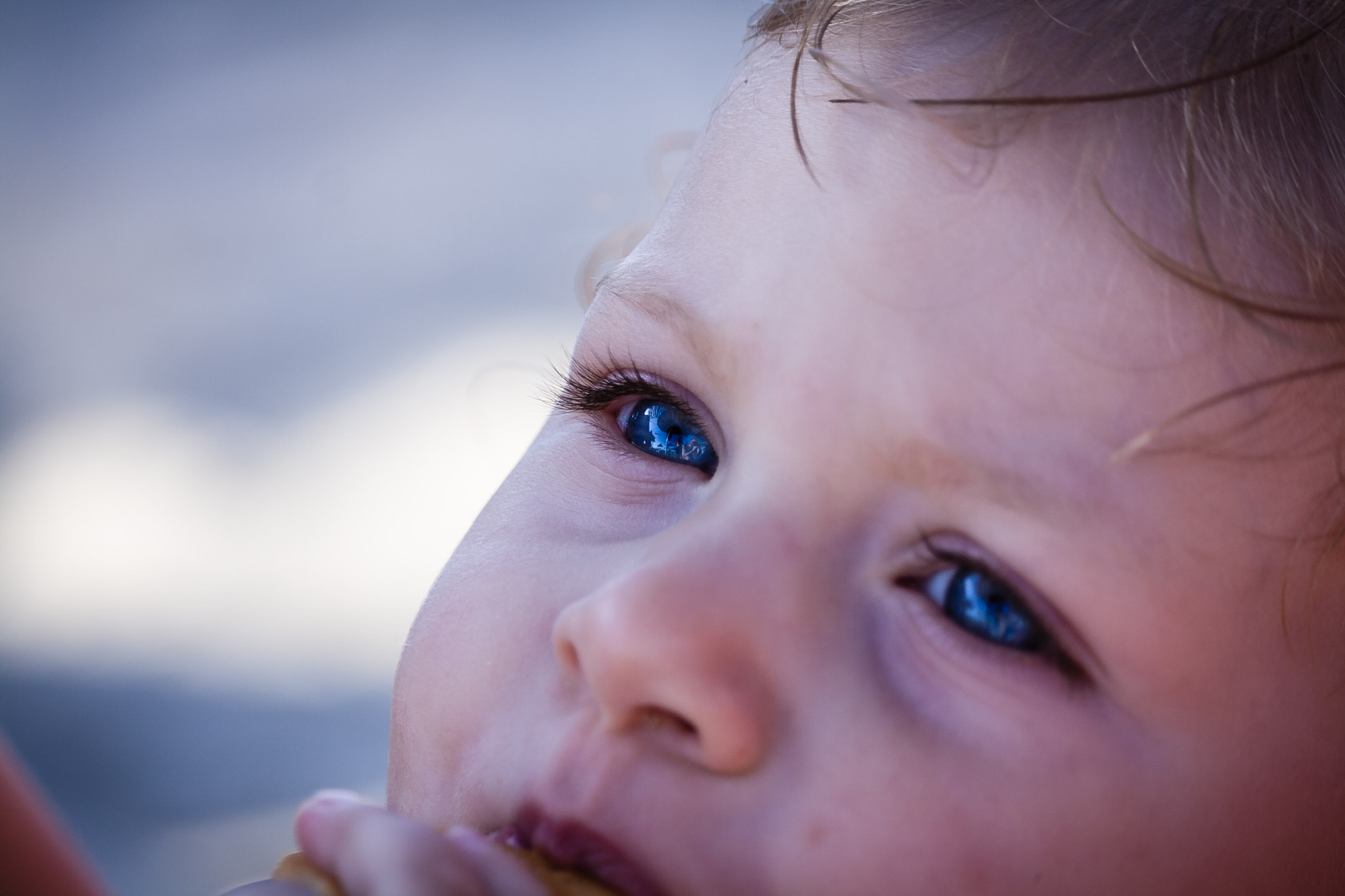 Canon EF-S 55-250mm F4-5.6 IS STM sample photo. Big blue eyes photography