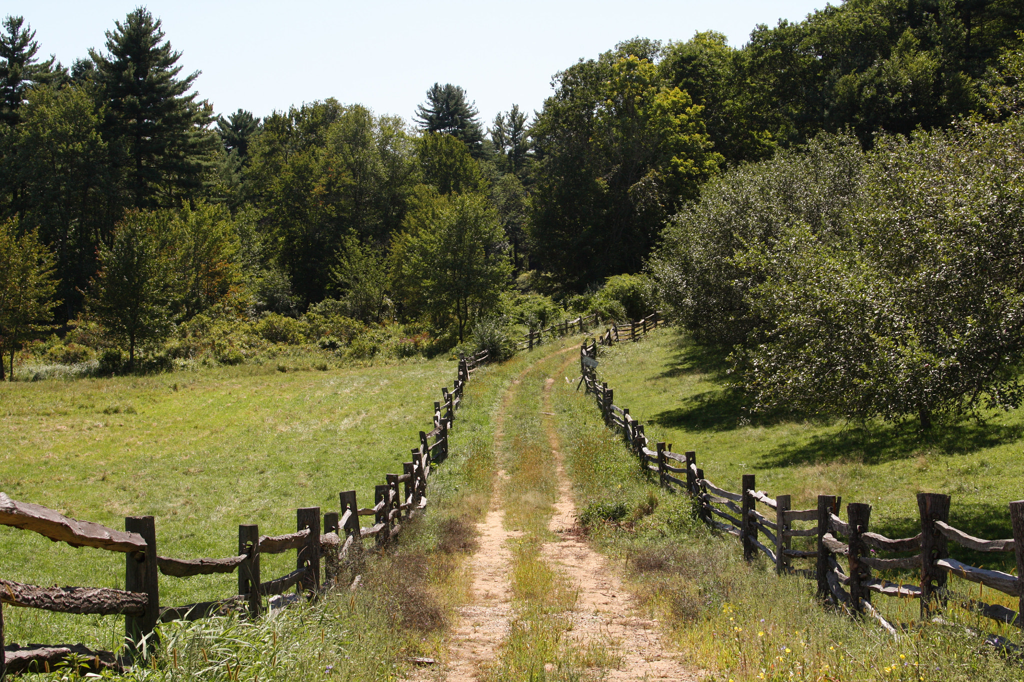 Canon EOS 450D (EOS Rebel XSi / EOS Kiss X2) sample photo. Road less traveled photography