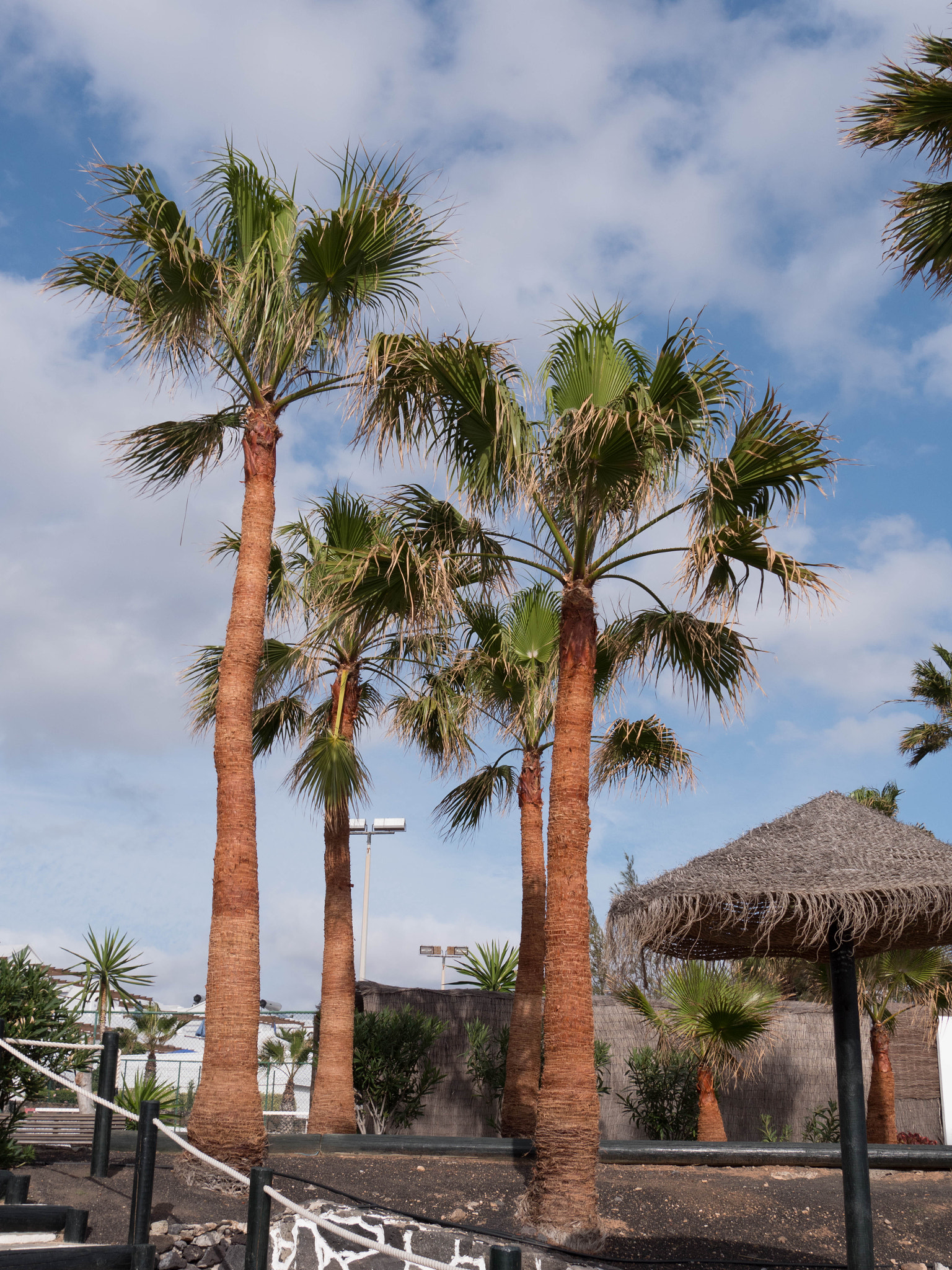 Panasonic Lumix DMC-GX8 sample photo. -1702_timafaya hotel051051.jpg photography