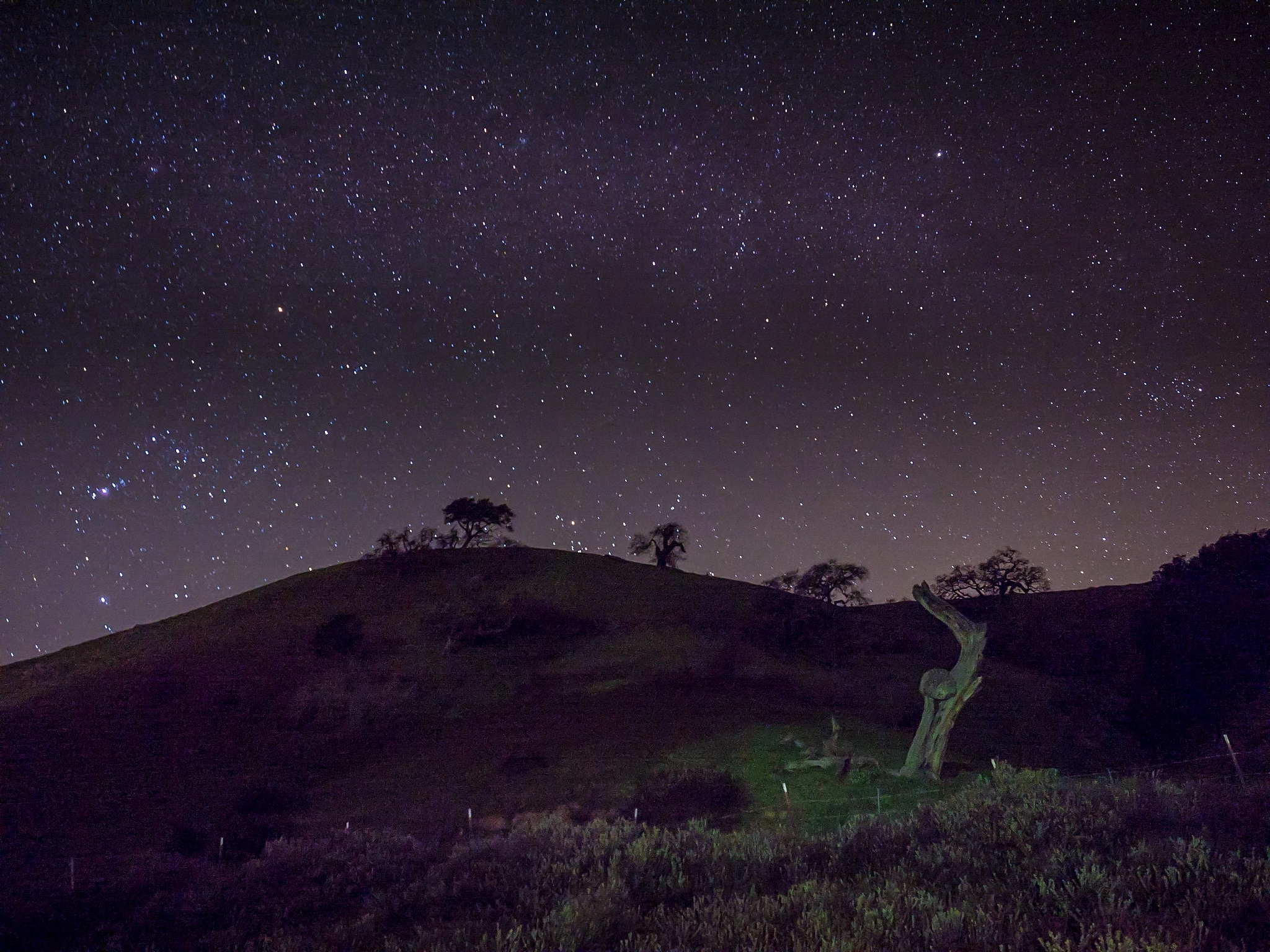 Olympus PEN-F + Olympus M.Zuiko Digital ED 12-40mm F2.8 Pro sample photo. The milky way shot in pacheco state park, ca, usa photography