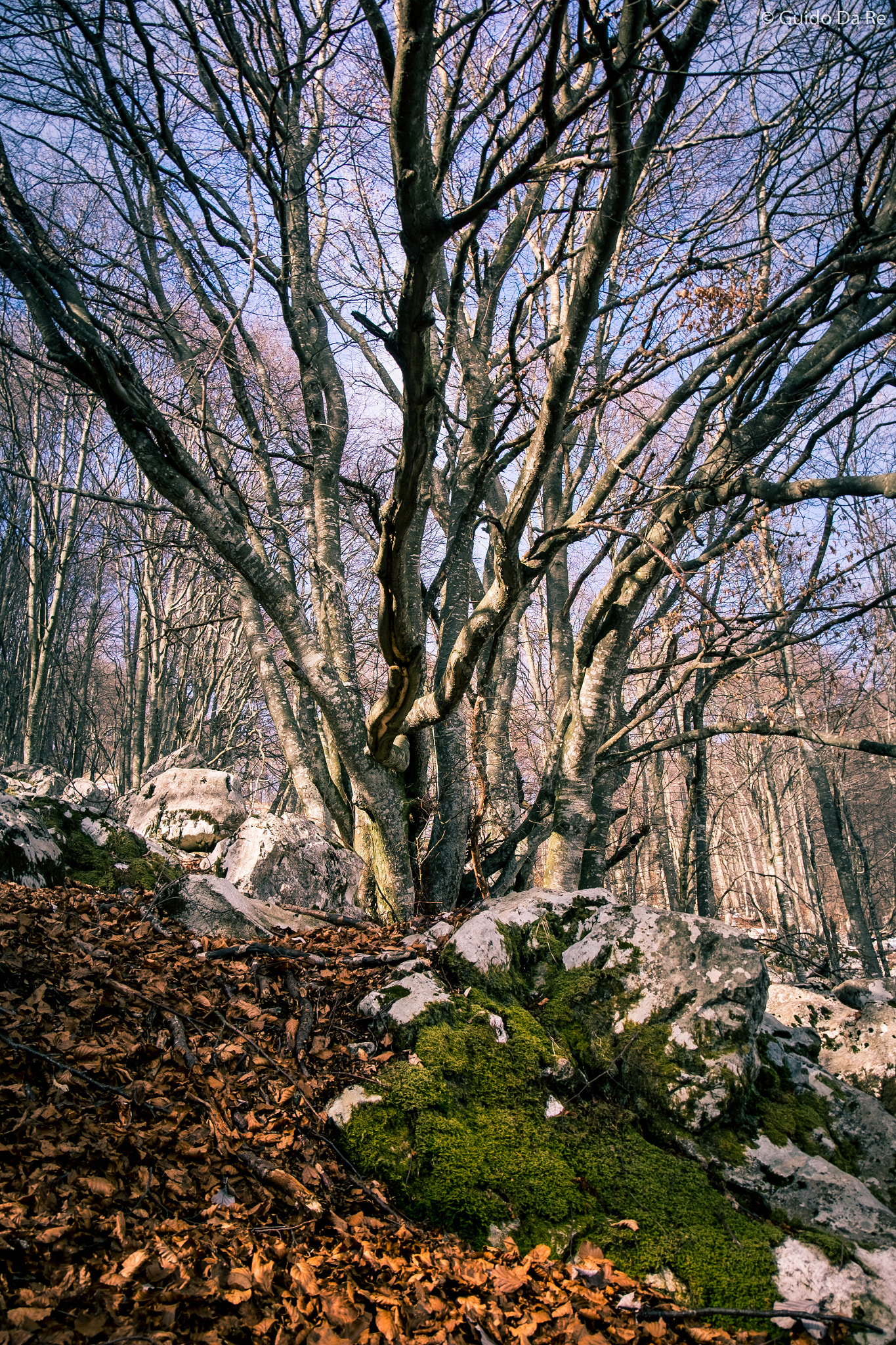 Fujifilm X-T10 + Fujifilm XF 18-135mm F3.5-5.6 R LM OIS WR sample photo. A farewell to winter photography