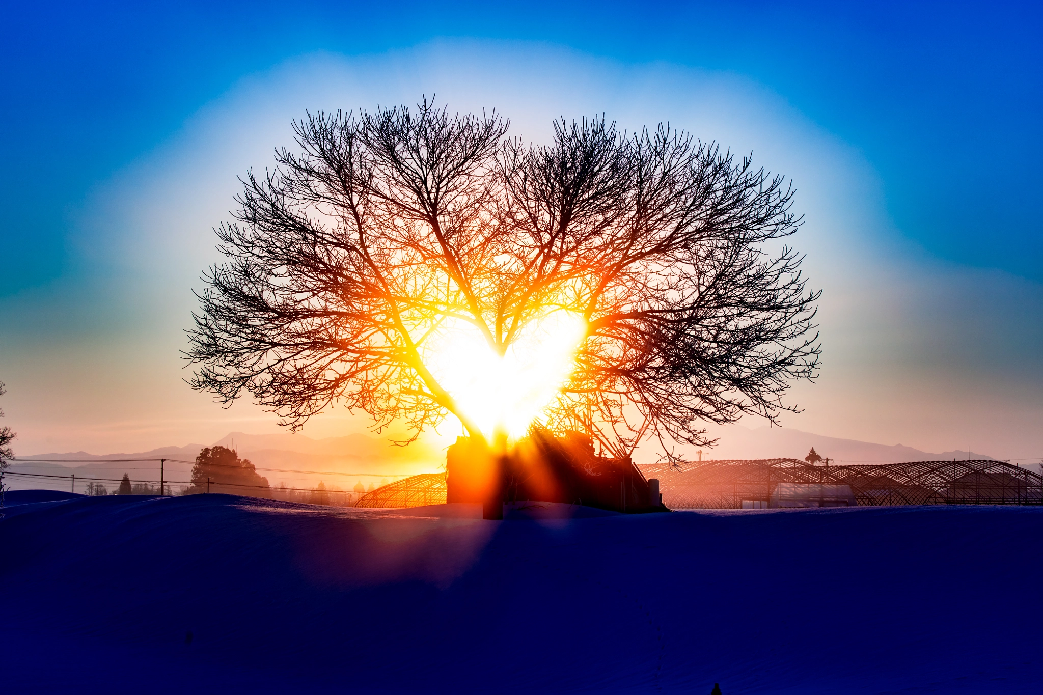 Canon EOS 5DS R sample photo. Heart of sun photography