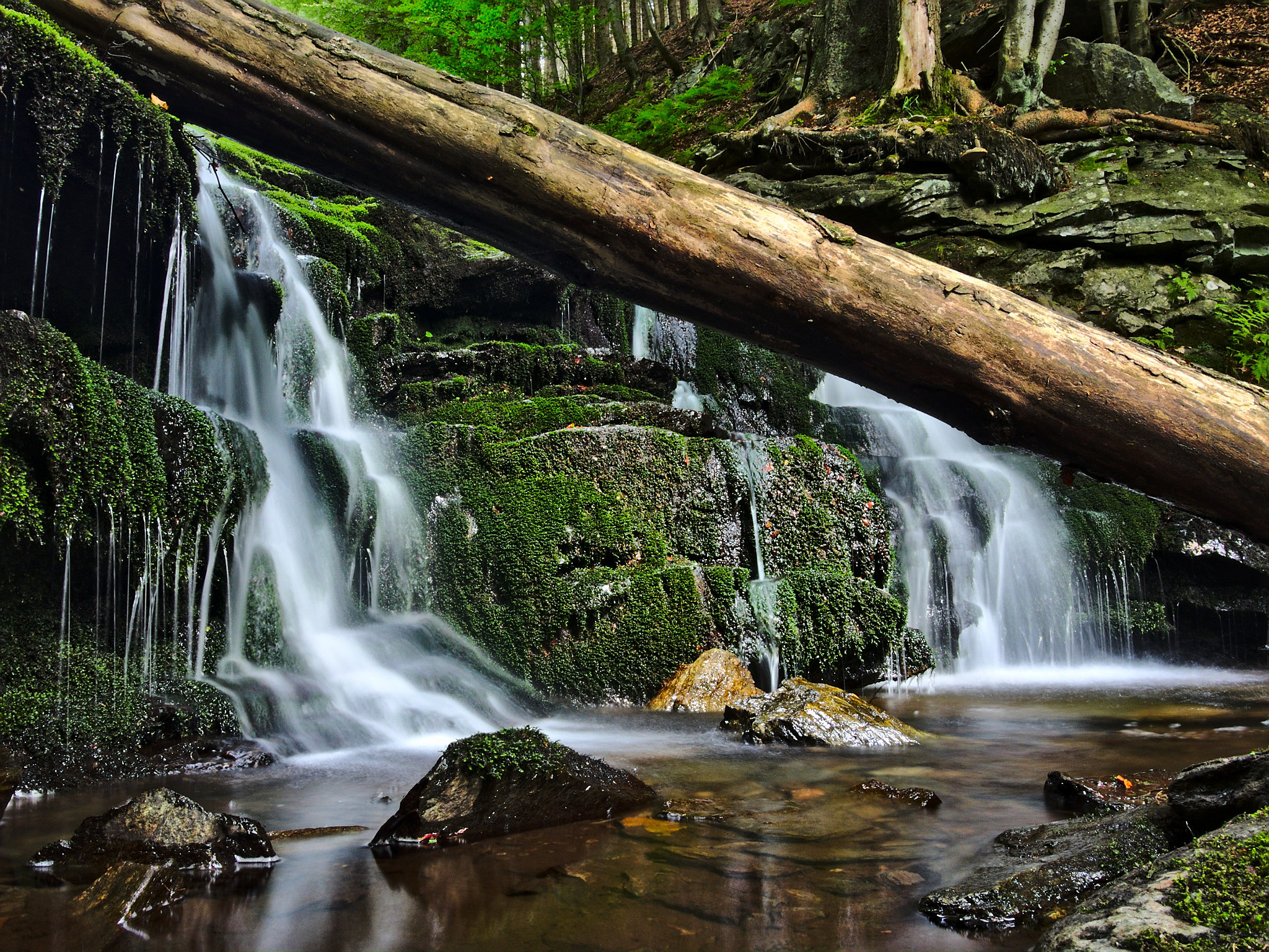 Nikon Coolpix P7800 sample photo. The stream and the log photography