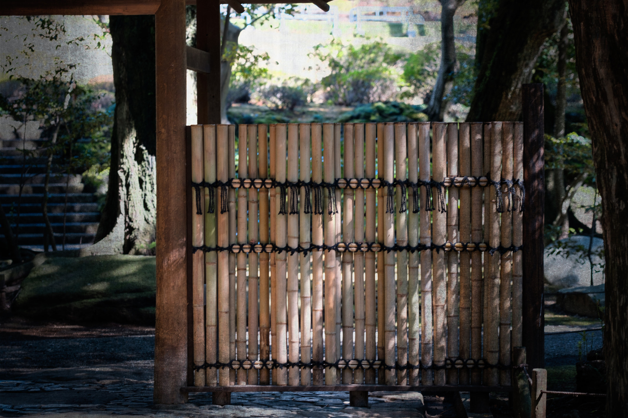 Fujifilm X-Pro2 + Fujifilm XF 90mm F2 R LM WR sample photo. Wall of the bamboo photography