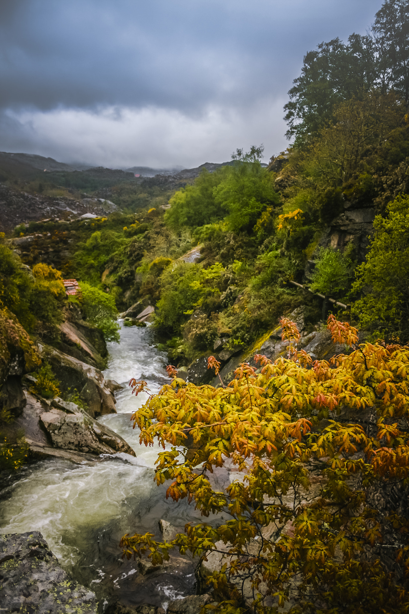 Canon EF-S 18-55mm F3.5-5.6 IS sample photo. Nature in portugal photography