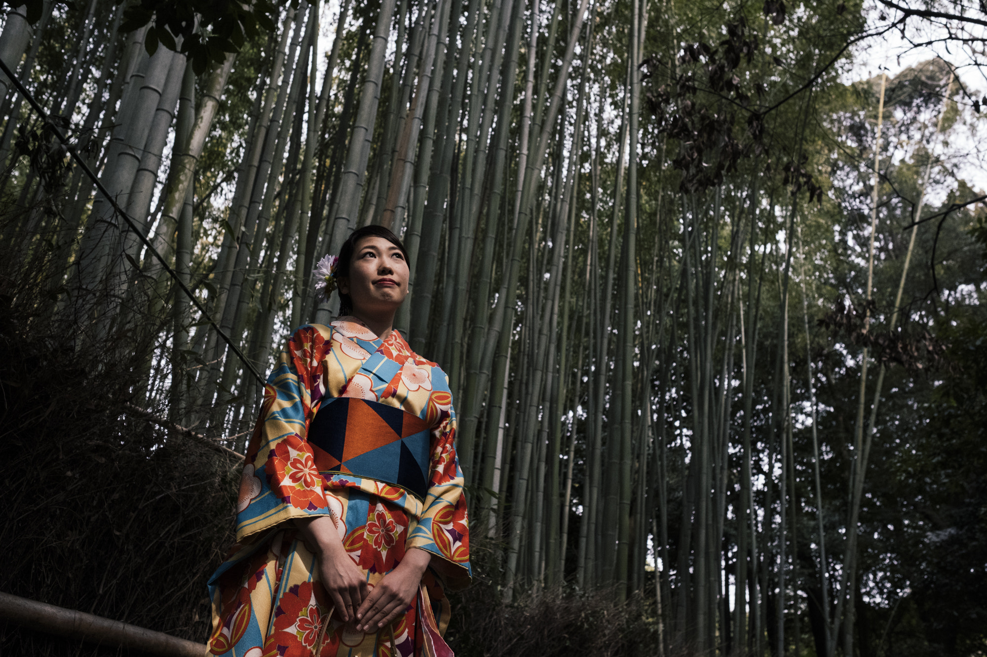 Fujifilm X-T2 + Fujifilm XF 23mm F1.4 R sample photo. Bamboo garden photography
