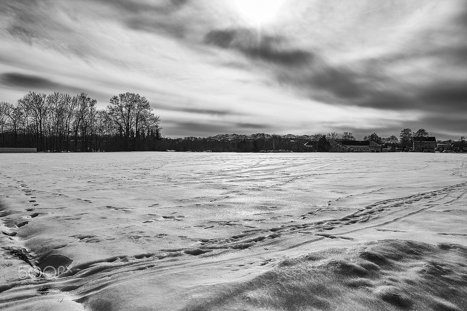 Nikon D700 sample photo. F i r n photography
