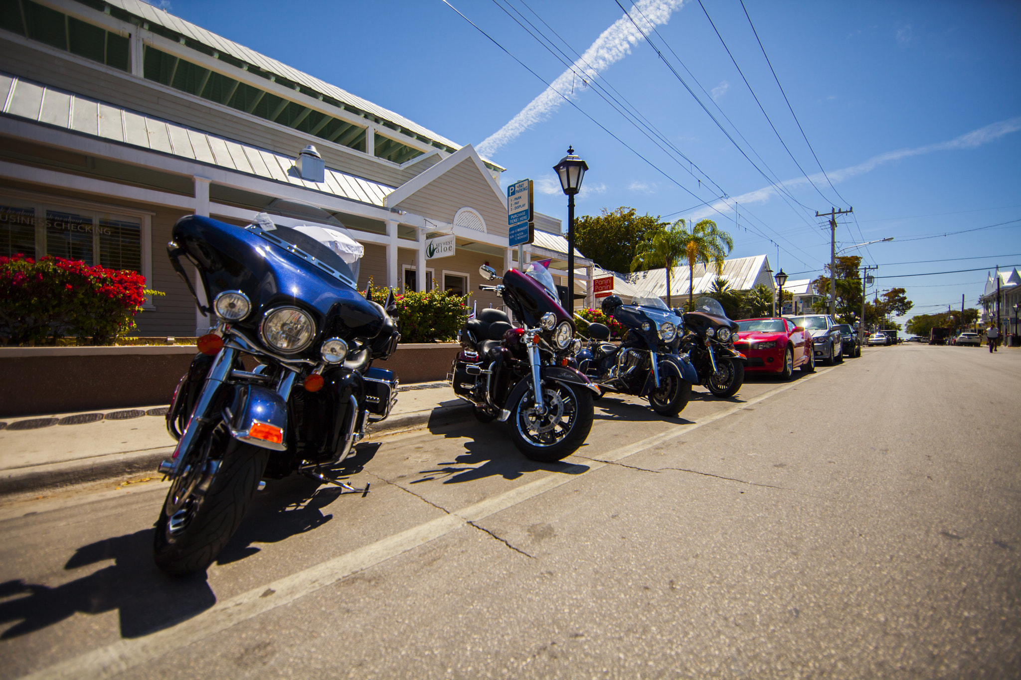 Canon EOS 5D Mark II + Canon EF 14mm F2.8L II USM sample photo. Key west photography