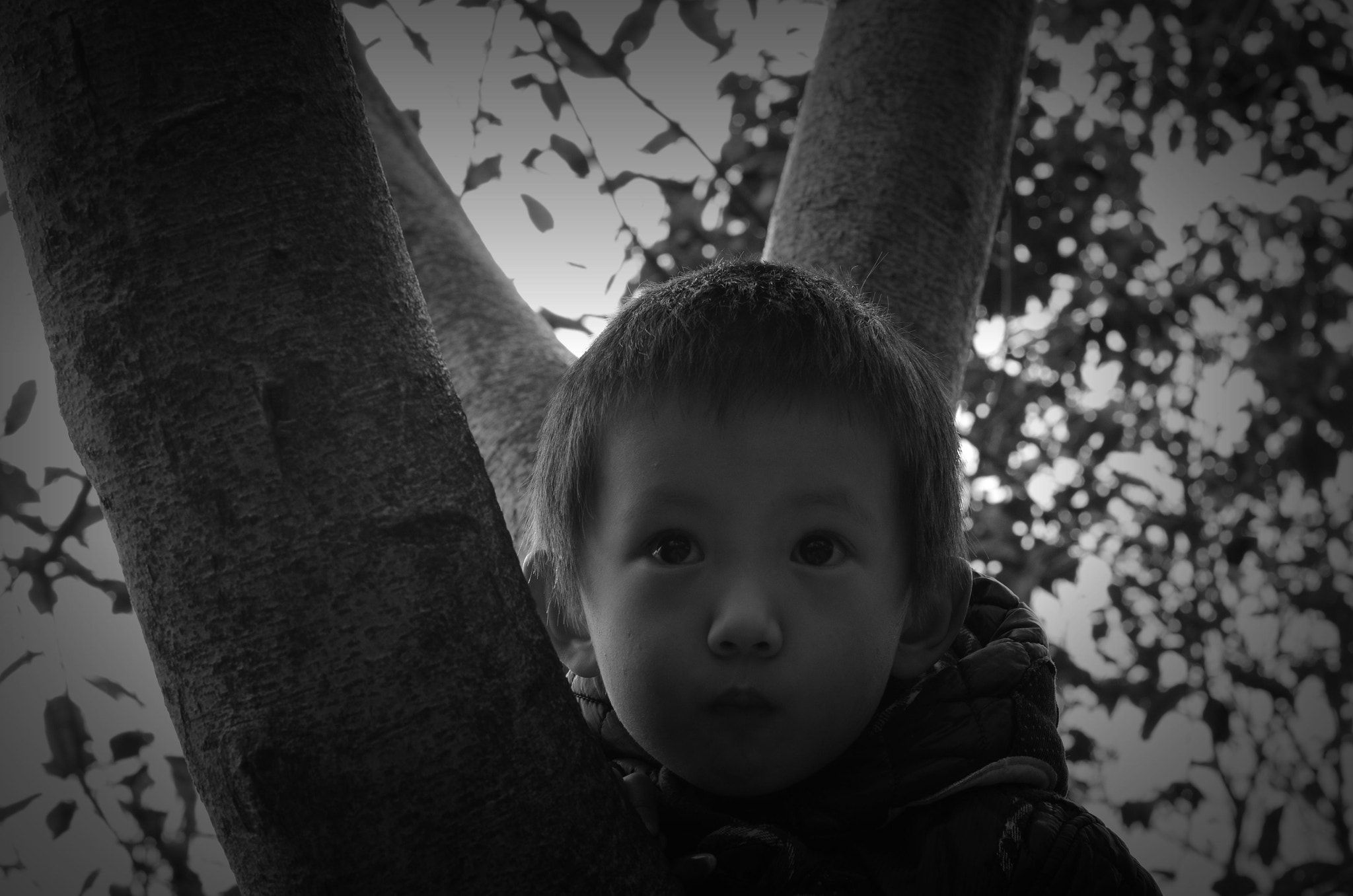 Nikon D7000 + Nikon AF-S Nikkor 50mm F1.4G sample photo. 小灵猫 photography