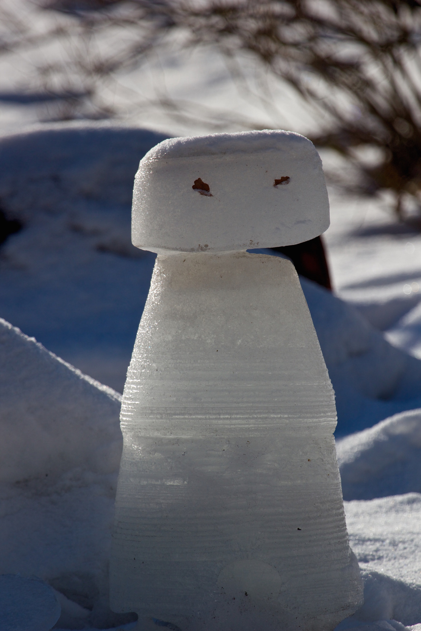 Canon EF 100-400mm F4.5-5.6L IS USM sample photo. Iceman photography