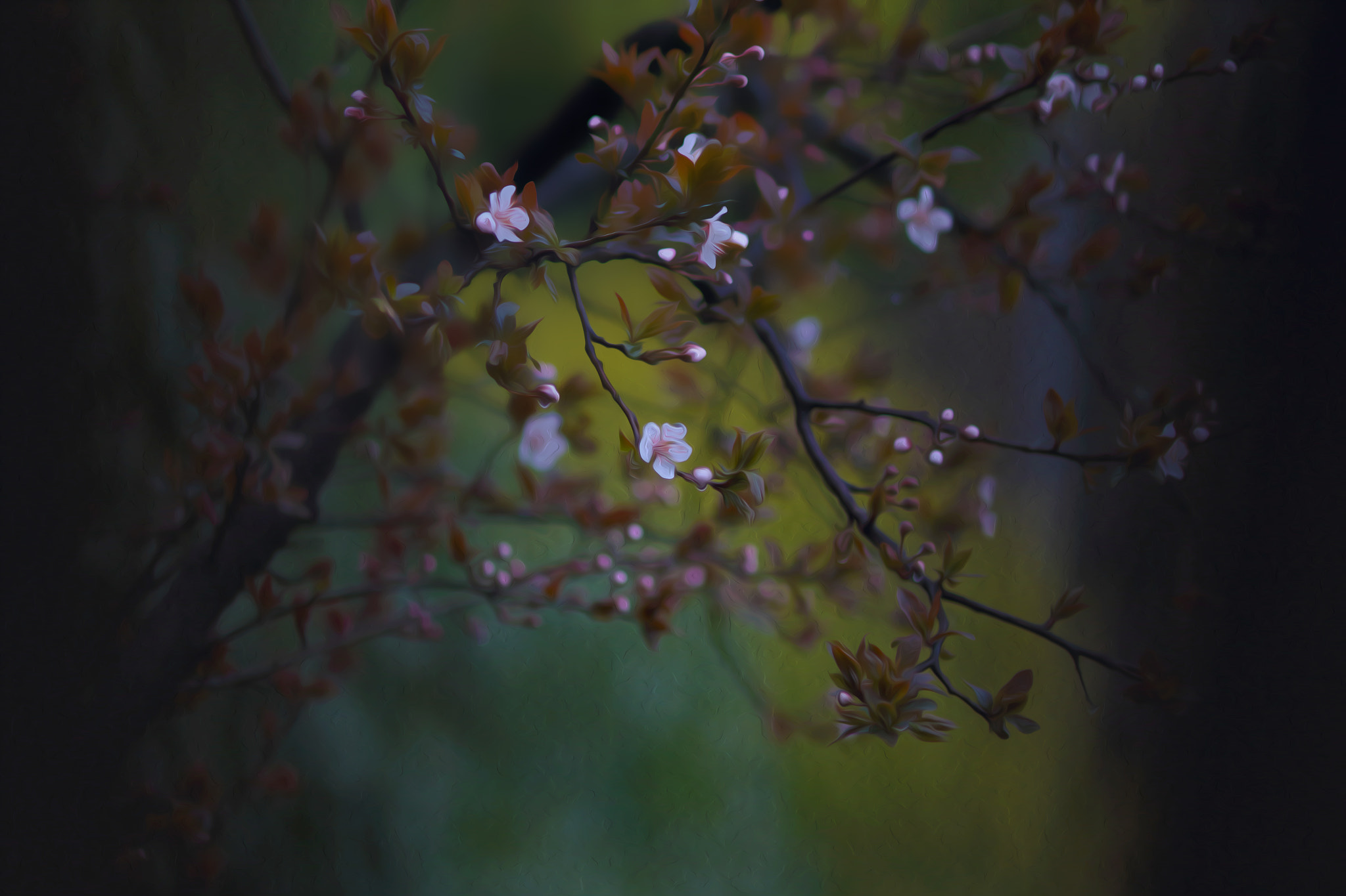 Canon EF 300mm F4L IS USM sample photo. A photography