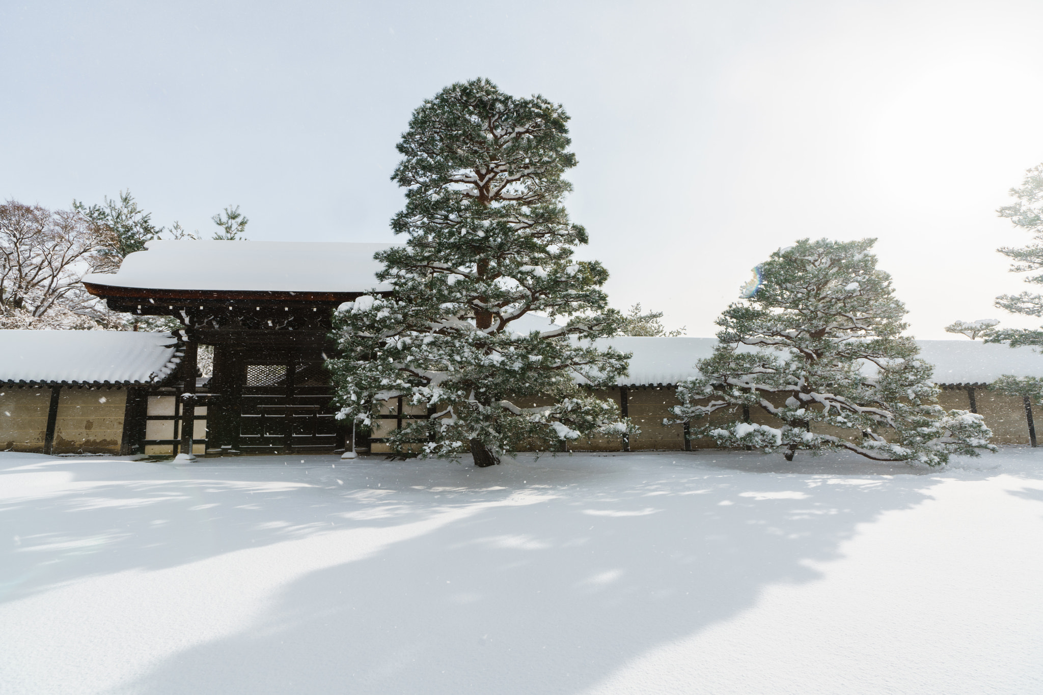 Sony a99 II + Sony Vario-Sonnar T* 16-35mm F2.8 ZA SSM sample photo. Snow garden photography