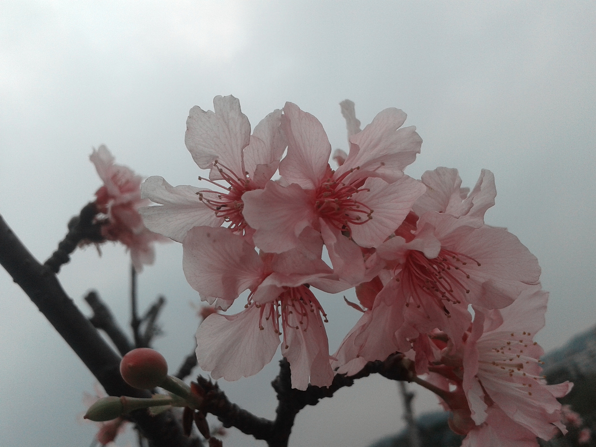 Samsung Galaxy Core sample photo