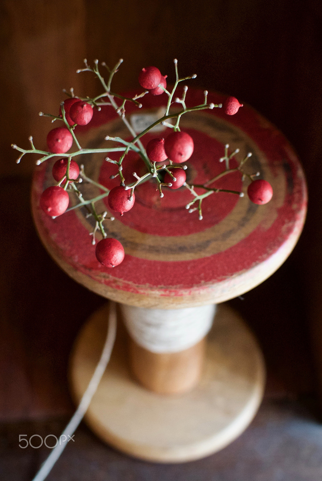 Nikon 1 J2 sample photo. Branch, berries & spool photography