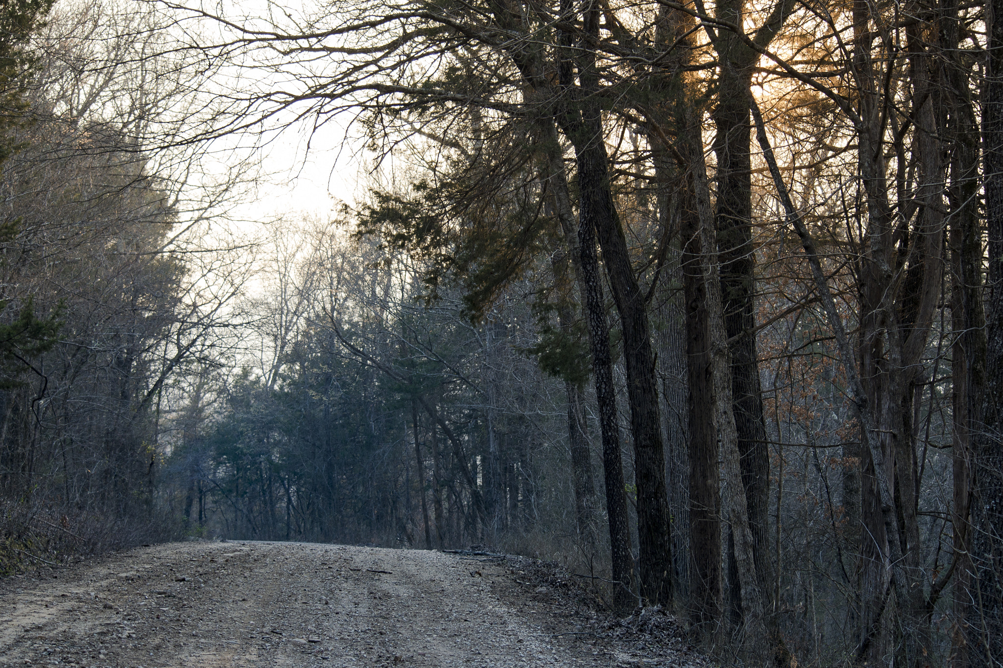 Nikon D800 sample photo. Erbie road photography