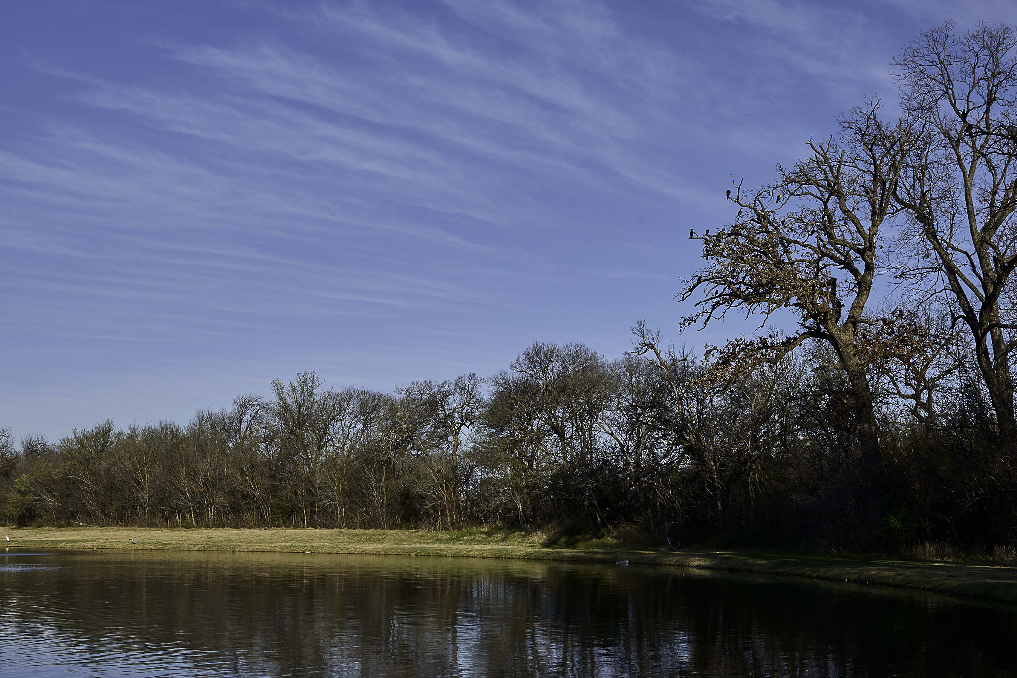 Nikon D800 sample photo. Spring time photography