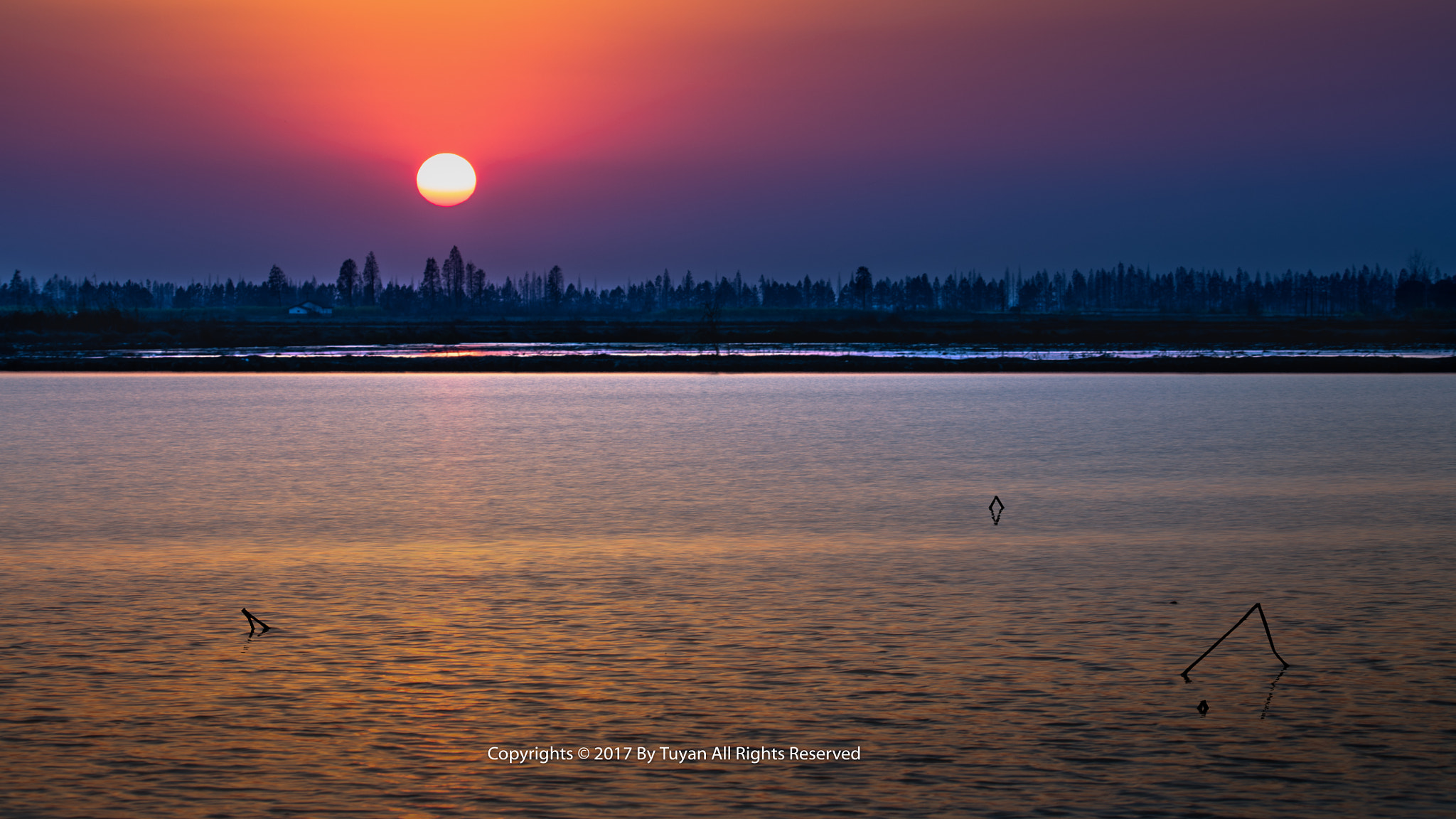 Canon EOS 5DS R sample photo. 有朋来自远方，引他遁入农场。雁鹤翩然飞去，残荷潦倒水塘。有的没的瞎扯，听听春风轻扬。然后不说什么，看看天边夕阳… photography
