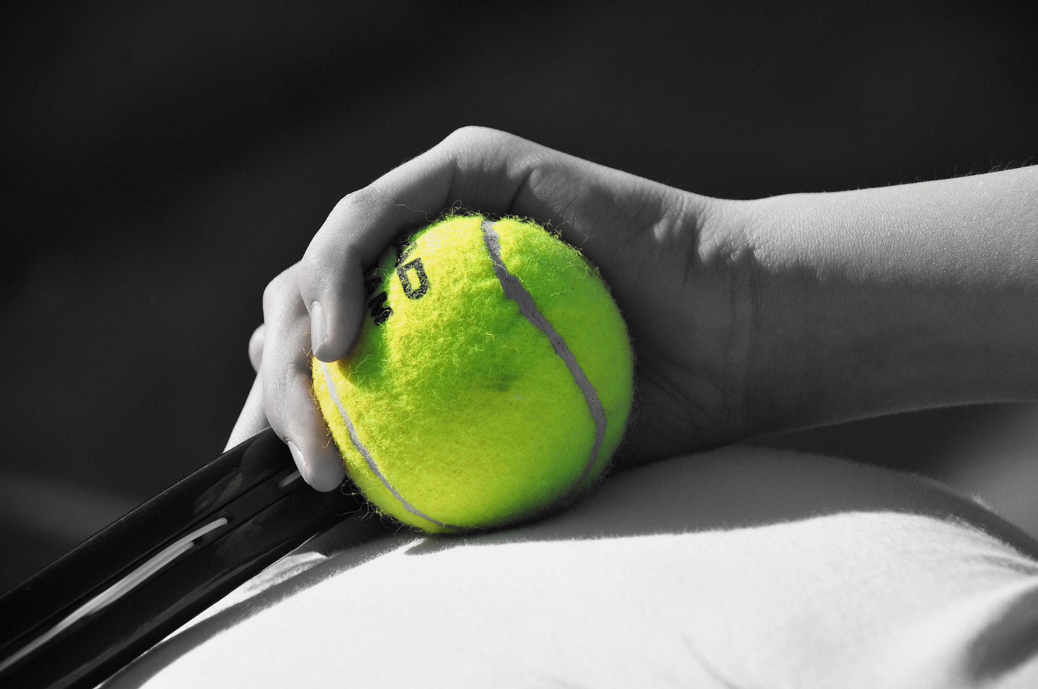 Nikon D300S sample photo. Untitled photography