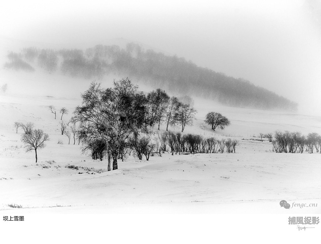 AF Zoom-Nikkor 80-200mm f/2.8 ED sample photo. 坝上雪墨 photography