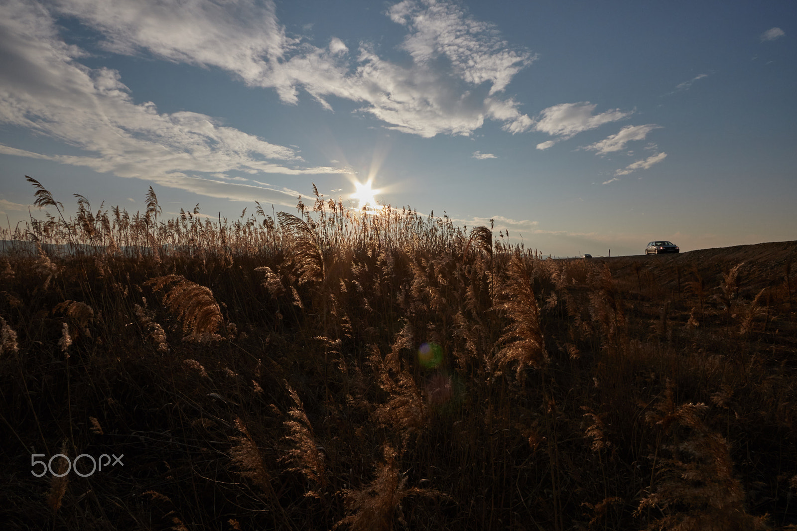 Canon EOS 760D (EOS Rebel T6s / EOS 8000D) sample photo. Img sunset on high way. photography
