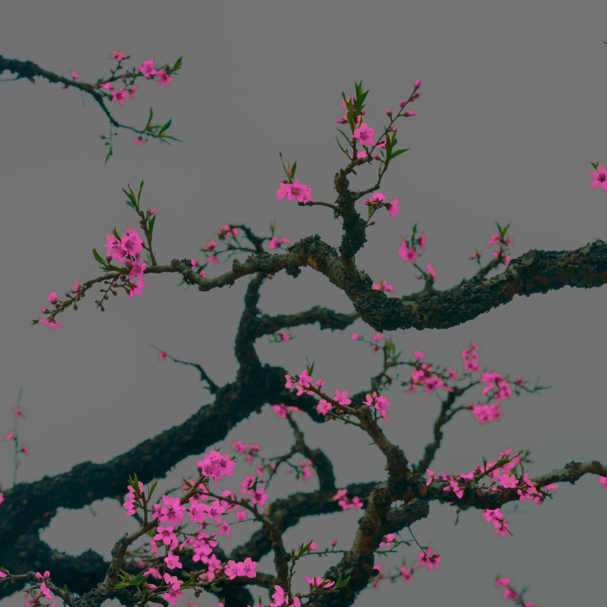 Nikon D810 sample photo
