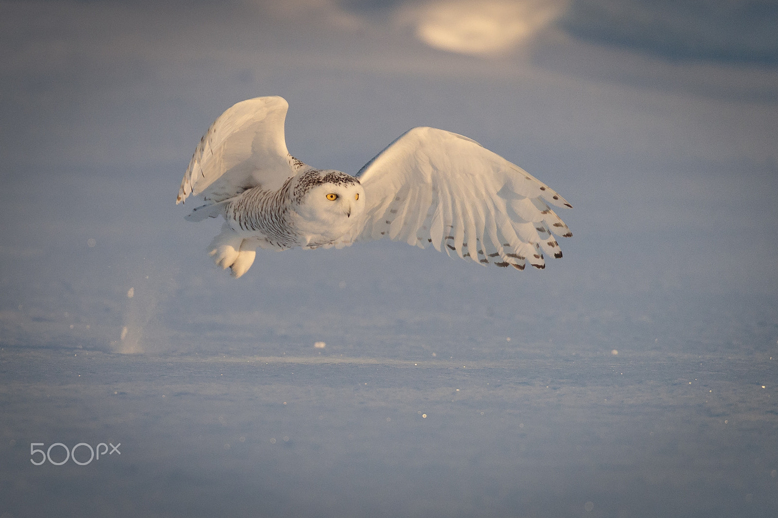 Canon EOS-1D X Mark II sample photo. Winter ghost photography