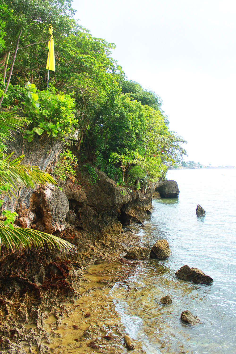 Canon EF-S 18-55mm F3.5-5.6 IS sample photo. On the rocks, photography
