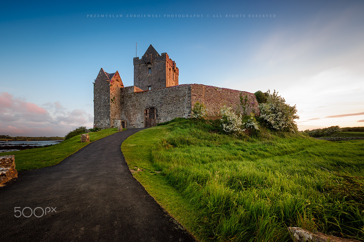 Nikon AF-S Nikkor 17-35mm F2.8D ED-IF sample photo. Dunguaire castle / ireland photography