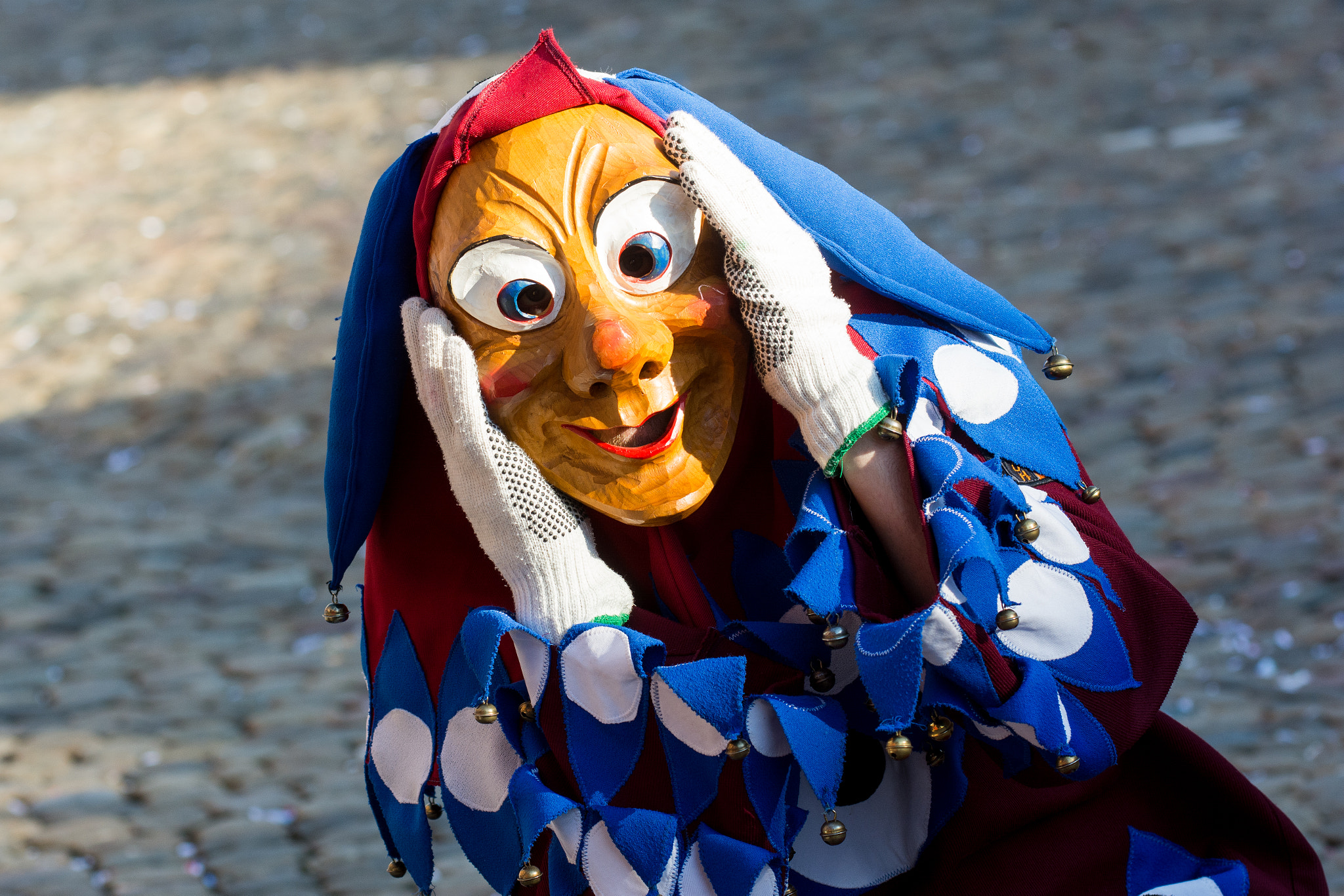 Nikon AF-S Nikkor 70-200mm F4G ED VR sample photo. Fasnet 2 photography