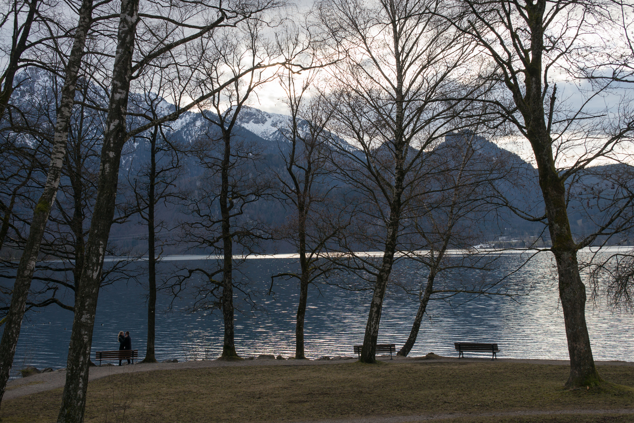 Leica Summilux-M 50mm F1.4 ASPH sample photo. Kochelsee photography
