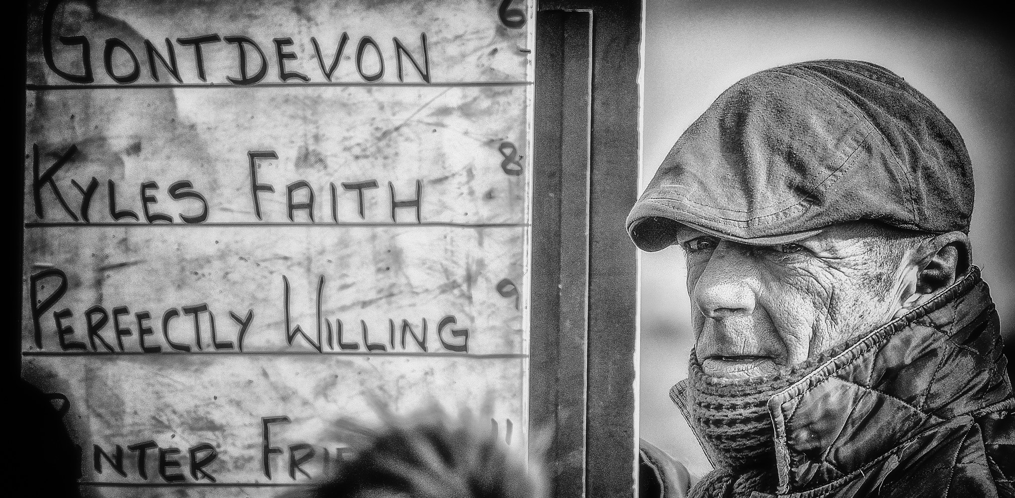 Nikon D500 sample photo. Perfectly willing and fully punter friendly photography