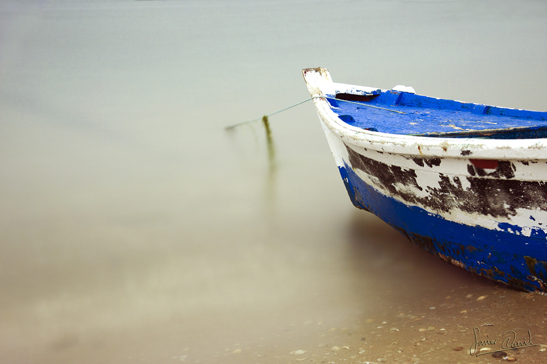 Sigma 18-200mm f/3.5-6.3 DC OS sample photo. Barca photography
