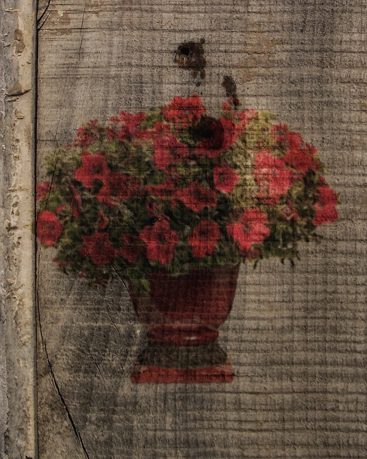 Kodak V610 DUAL LENS DIGITAL CAMERA sample photo. Red flowers photography