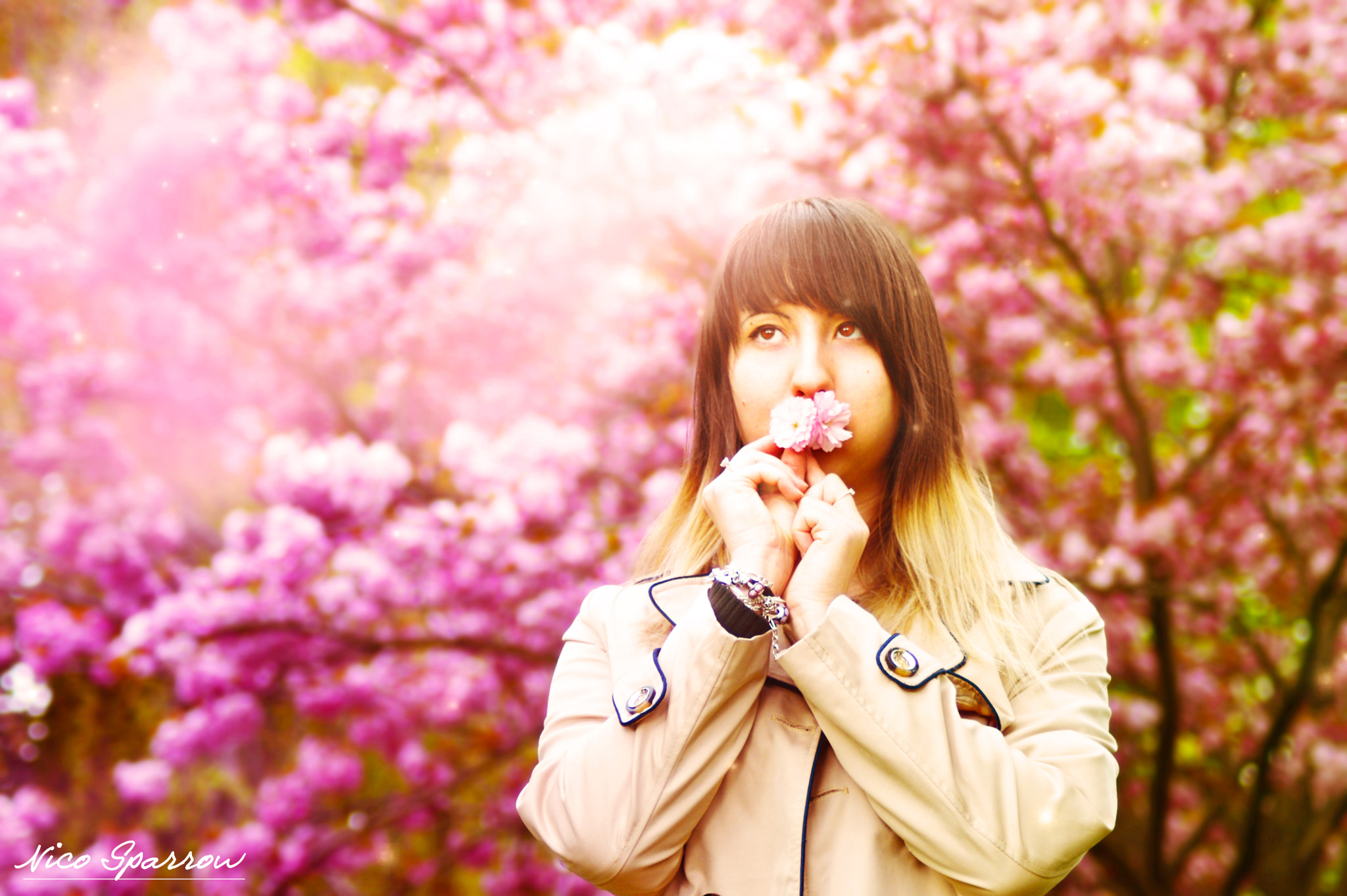 Nikon D3200 sample photo. Hanami photography
