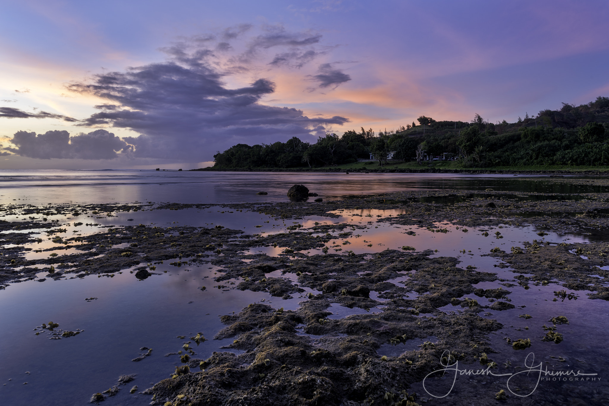 Nikon D810 + Nikon AF-S Nikkor 18-35mm F3.5-4.5G ED sample photo. Holi nature photography