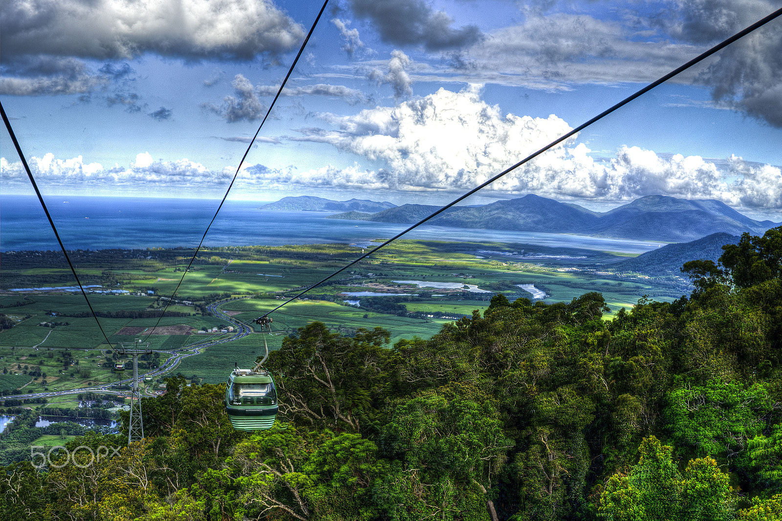Sony FE 28mm F2 sample photo. Jungle skyrail - cairns, australia photography