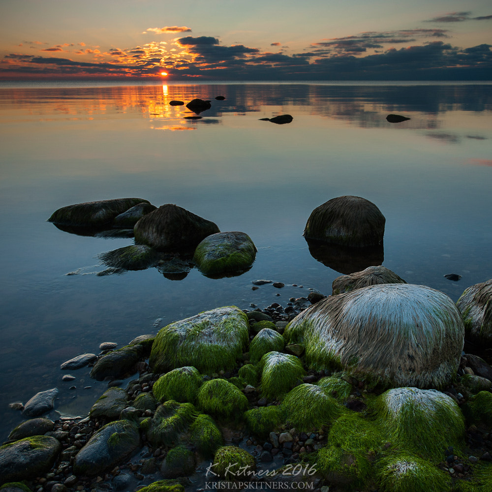 Nikon AF-S Nikkor 14-24mm F2.8G ED sample photo. The hairy stones photography