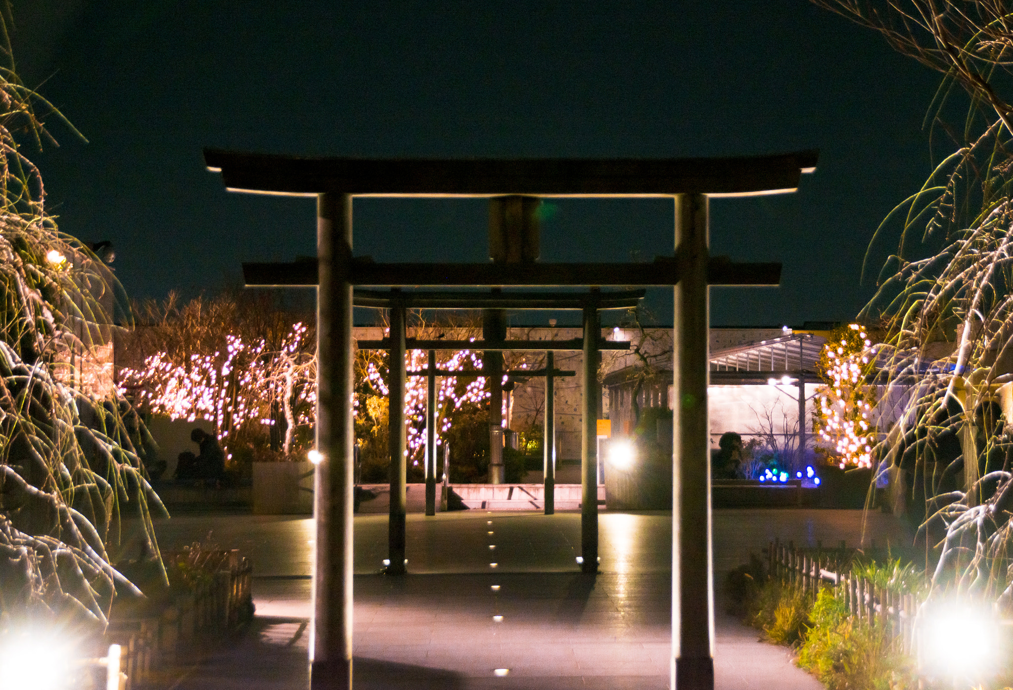 Sigma 18-250mm F3.5-6.3 DC Macro OS HSM sample photo. Shrine photography
