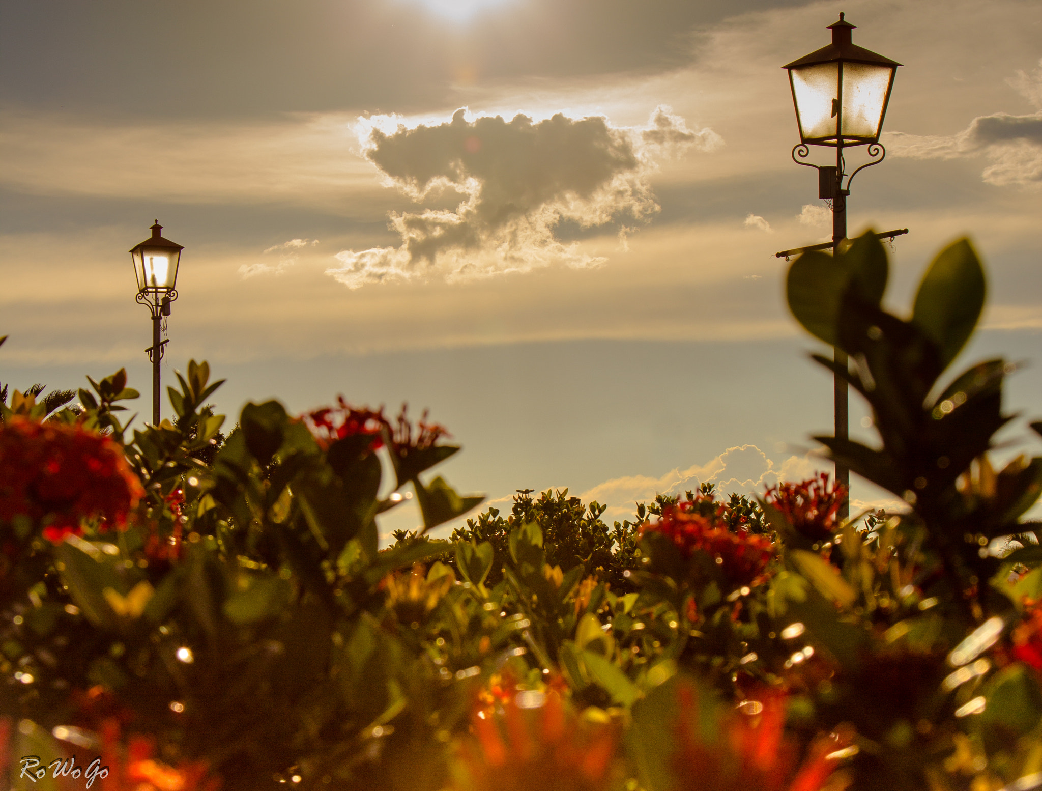 Canon EOS 600D (Rebel EOS T3i / EOS Kiss X5) sample photo. Entardecer - late afternoon photography