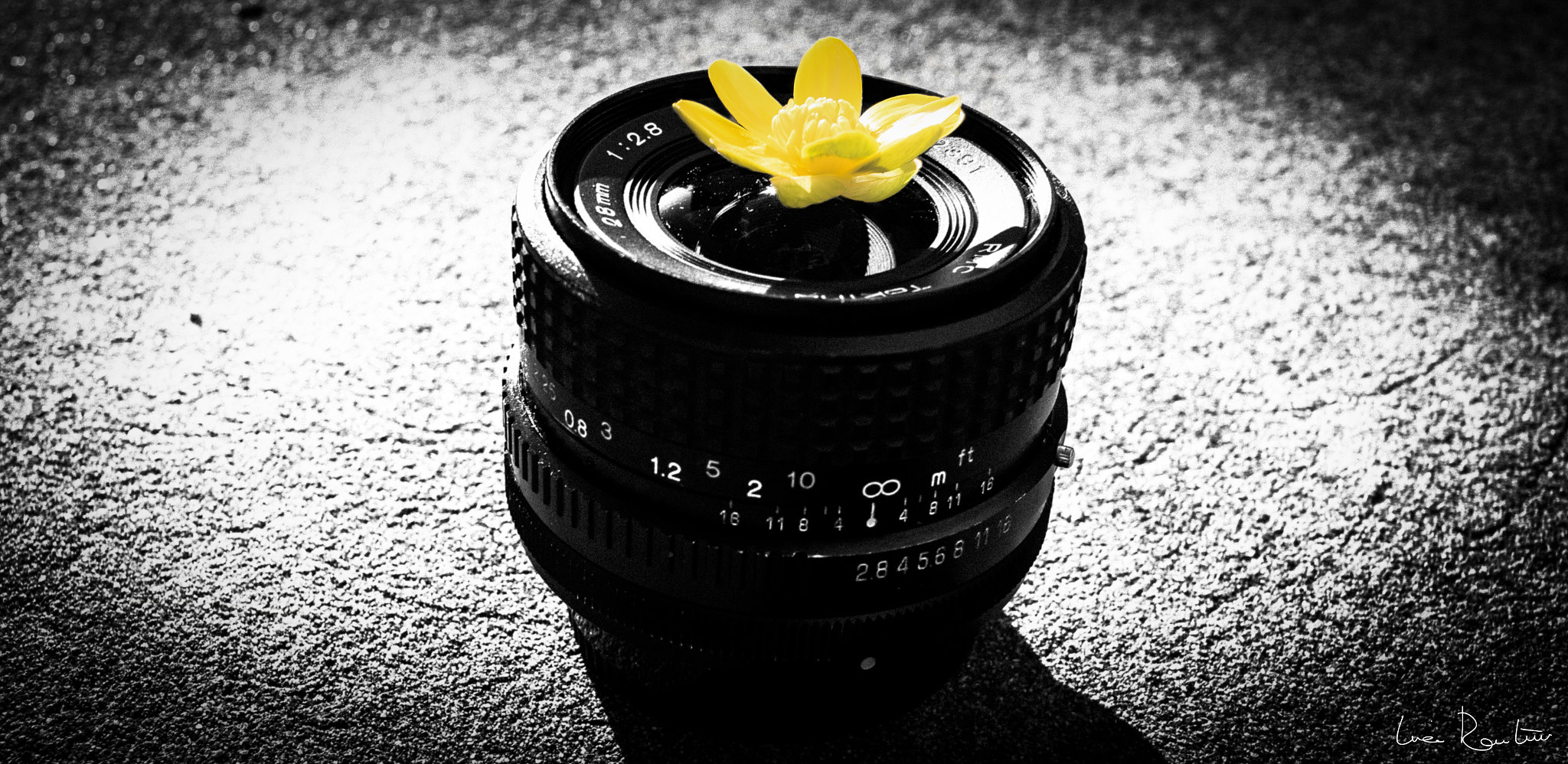 Canon EF-S 24mm F2.8 STM sample photo. Photography & life photography